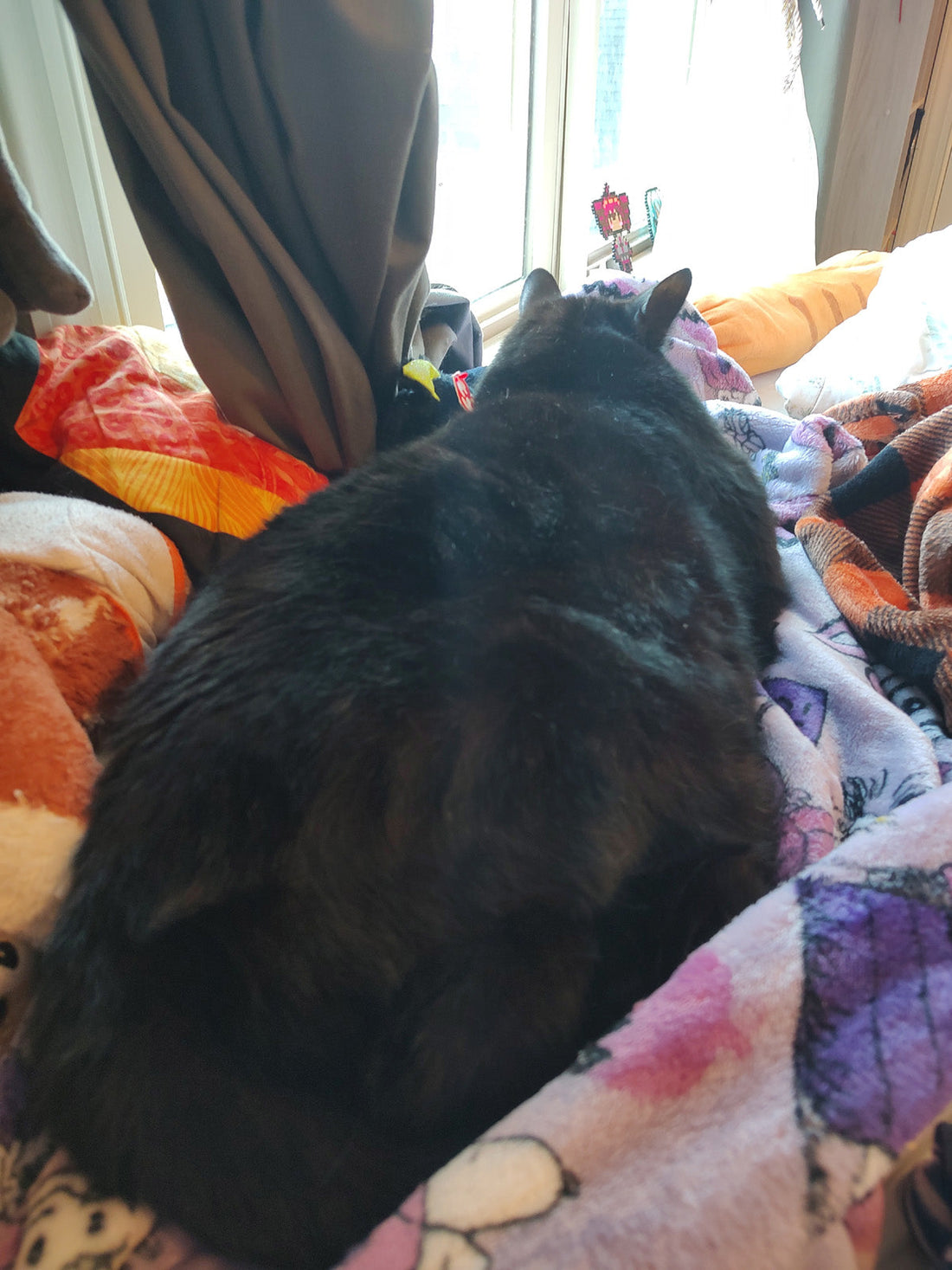 2026 Quilt Project May update