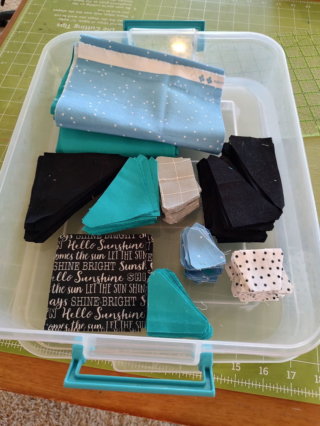 2026 June Quilt Project list